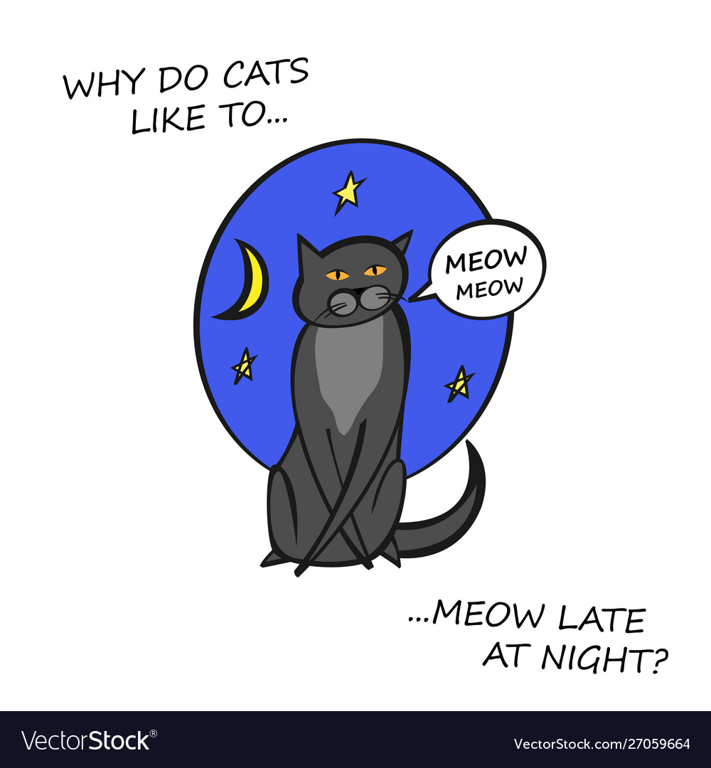 Cat behavior image vector image Cat behavior image