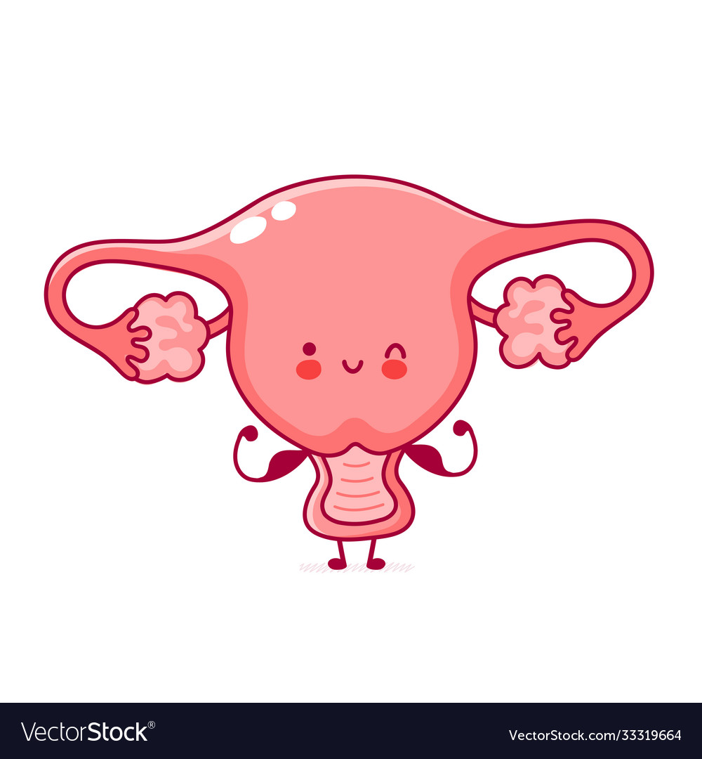 Cute happy funny woman uterus organ show muscle Vector Image