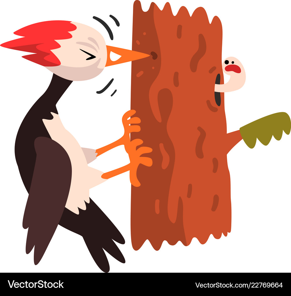 Cute woodpecker sitting on a tree and knocking Vector Image
