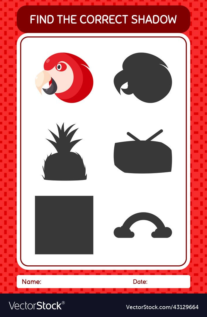 Find the correct shadows game with parrot