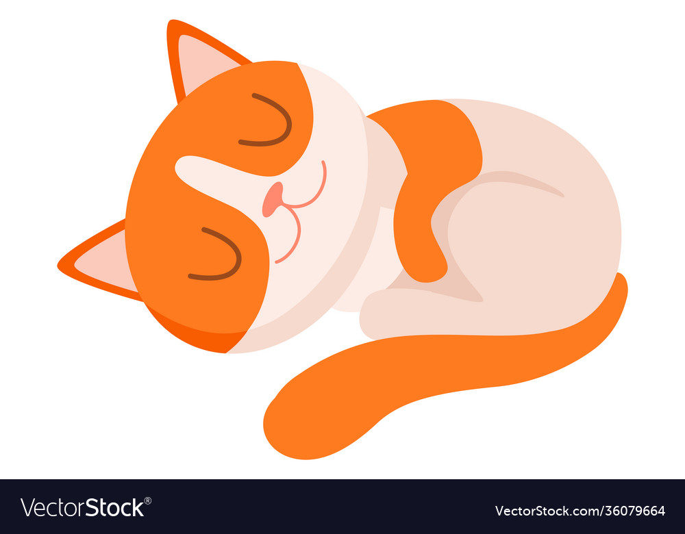 Funny kitten with red spots sleeping Royalty Free Vector