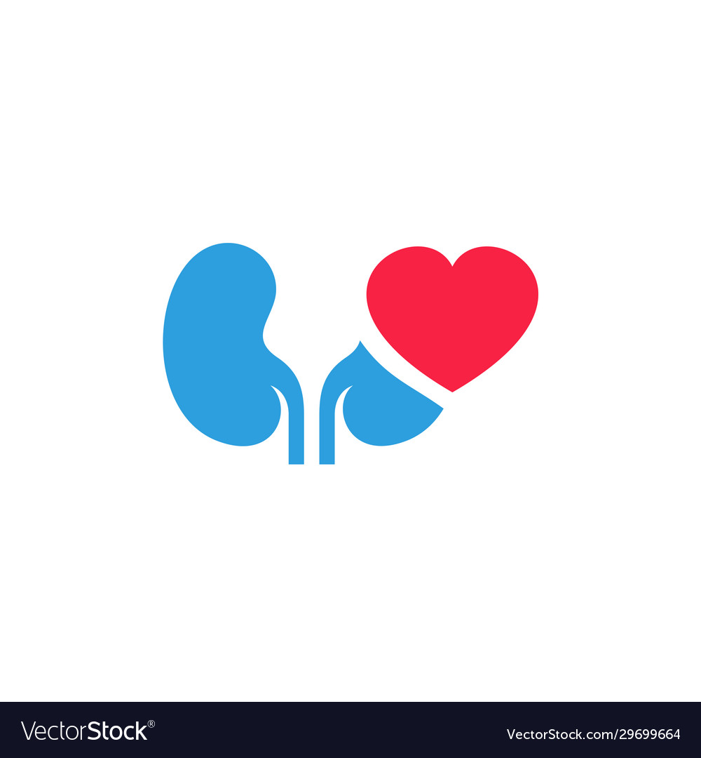 Kidney with love logo design inspiration template Vector Image