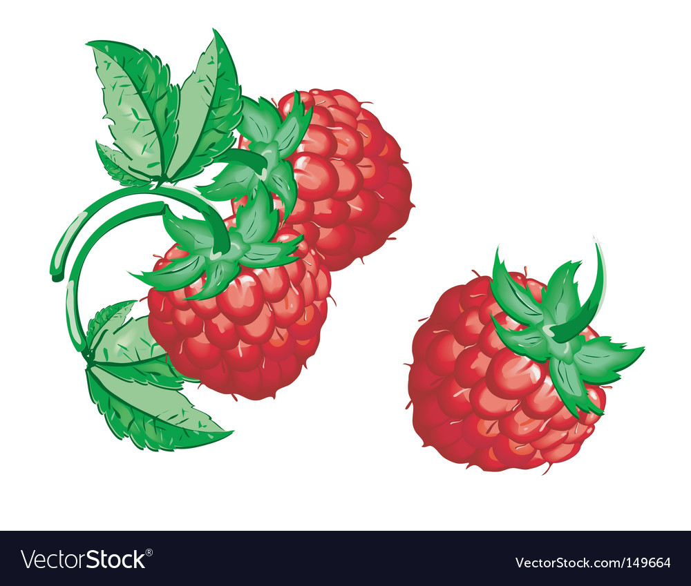 Raspberry