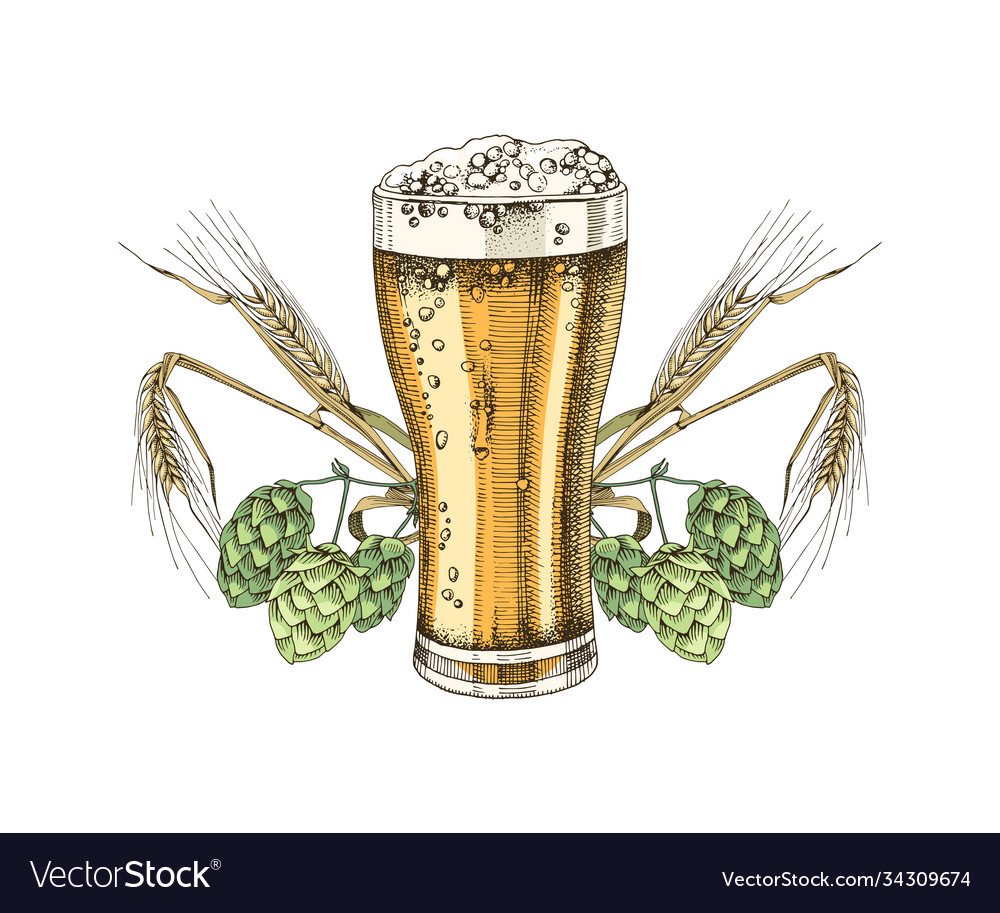 Hand drawn glass beer Royalty Free Vector Image