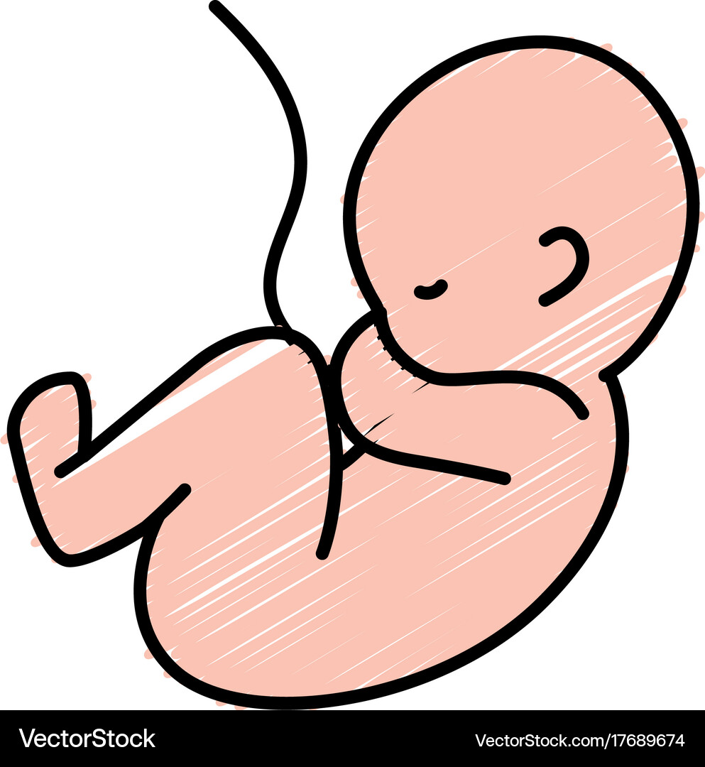 Nice baby with umbilical cord Royalty Free Vector Image