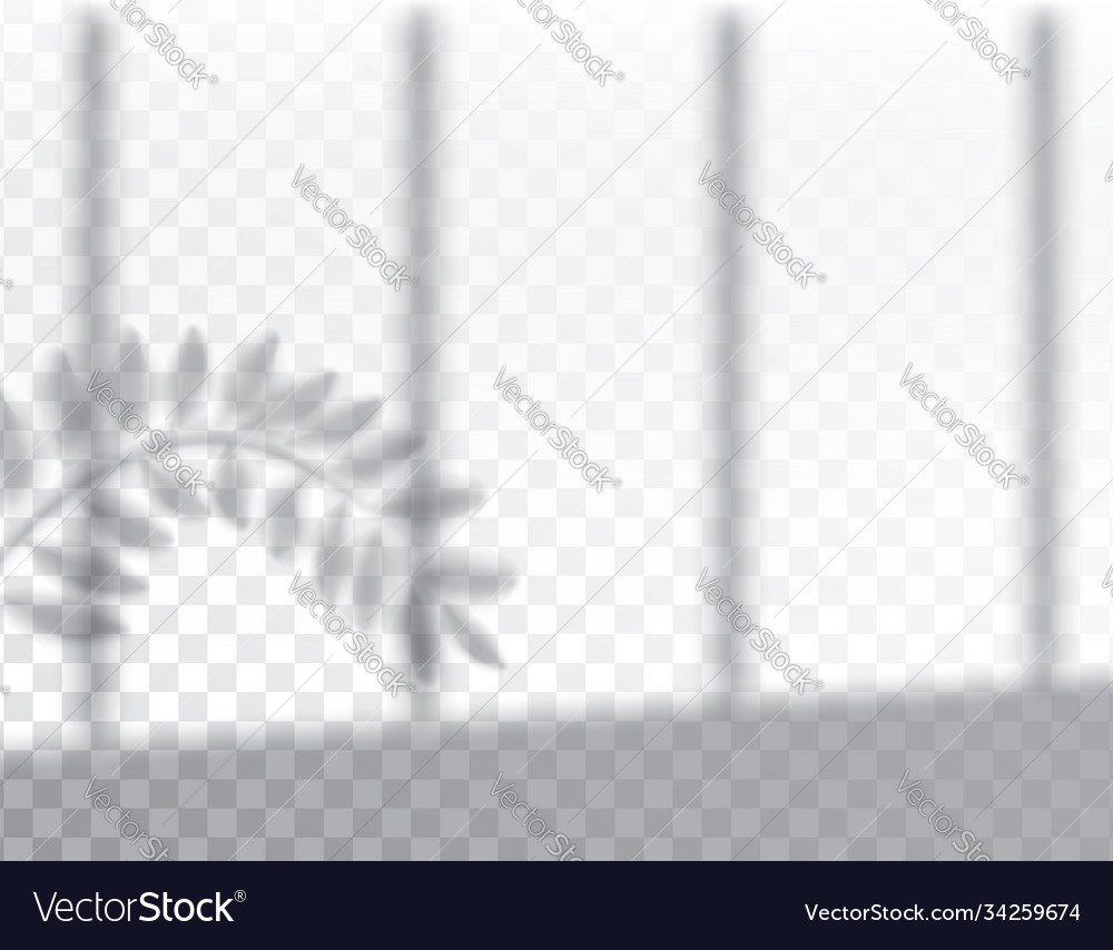 Shadow overlay effects mock up window frame vector image Shadow overlay effects mock up window frame