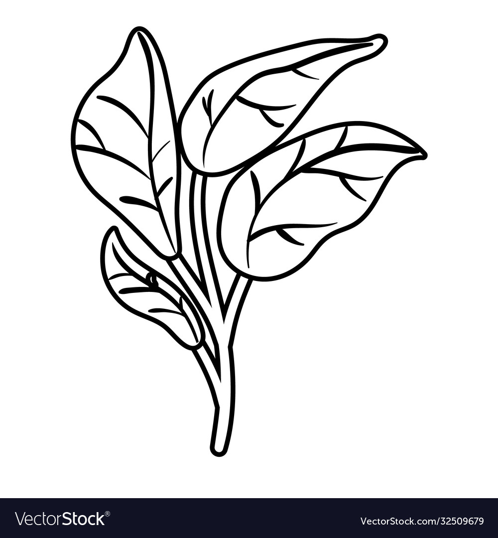 Branch with leafs botanical line style icon