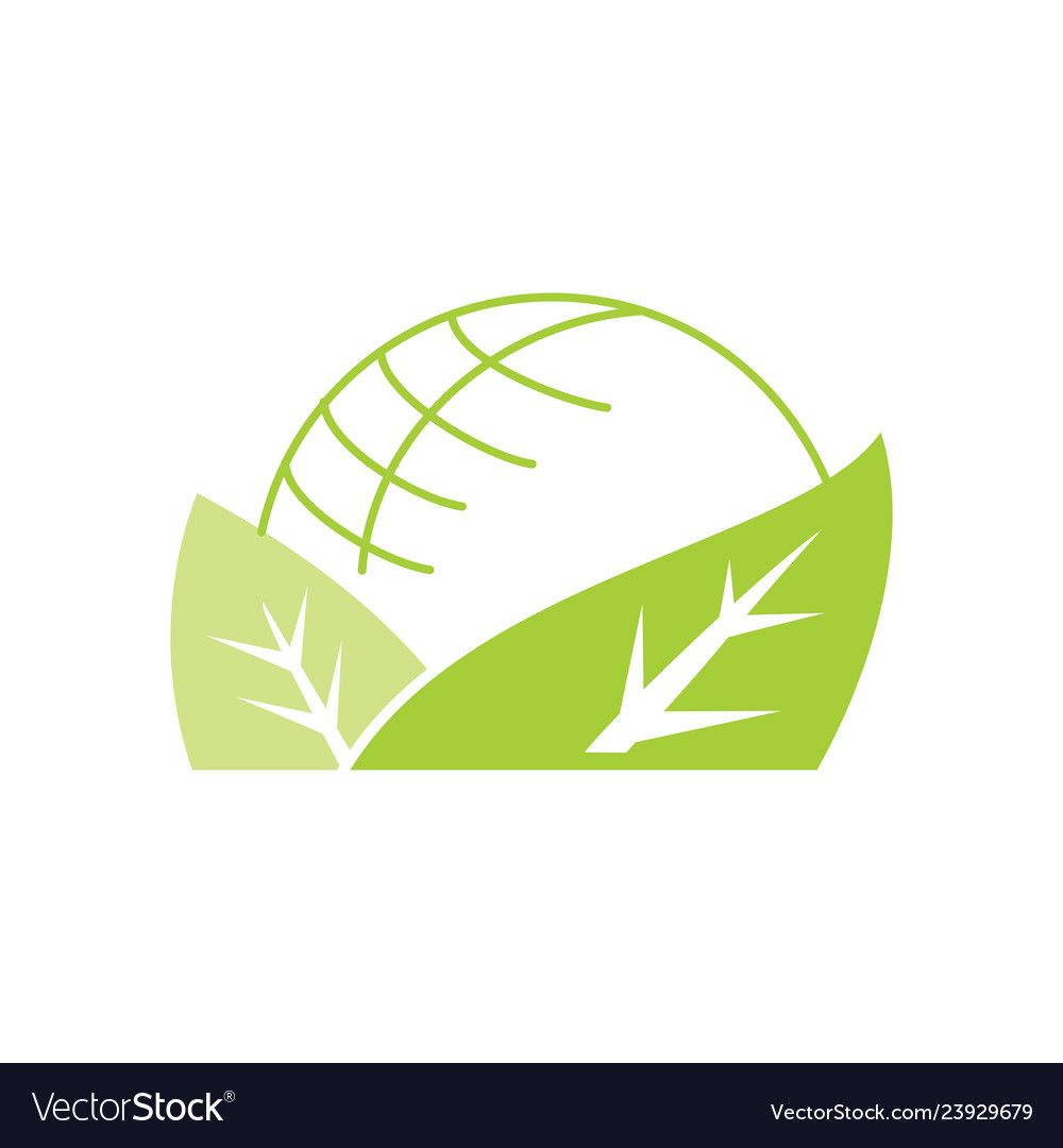 Leaf logo design template isolated