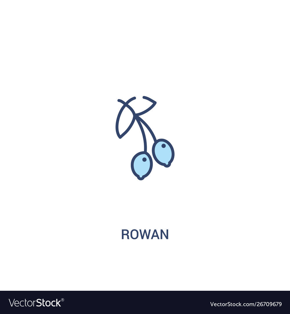 Rowan concept 2 colored icon simple line element vector image Rowan concept 2 colored icon simple line element