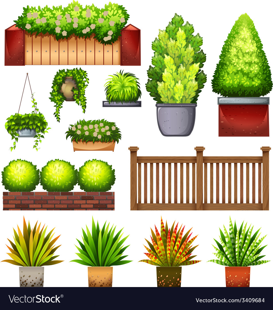 Set of different plants