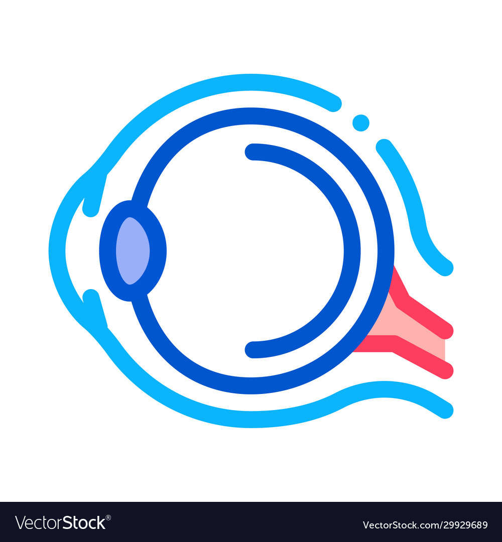 Human eyeball anatomy organ icon thin line