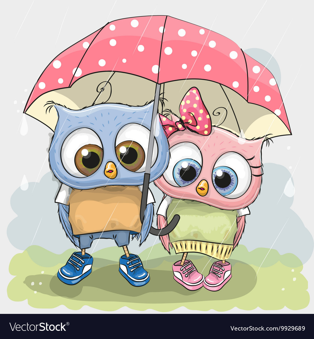 Two cute lovers owls Royalty Free Vector Image