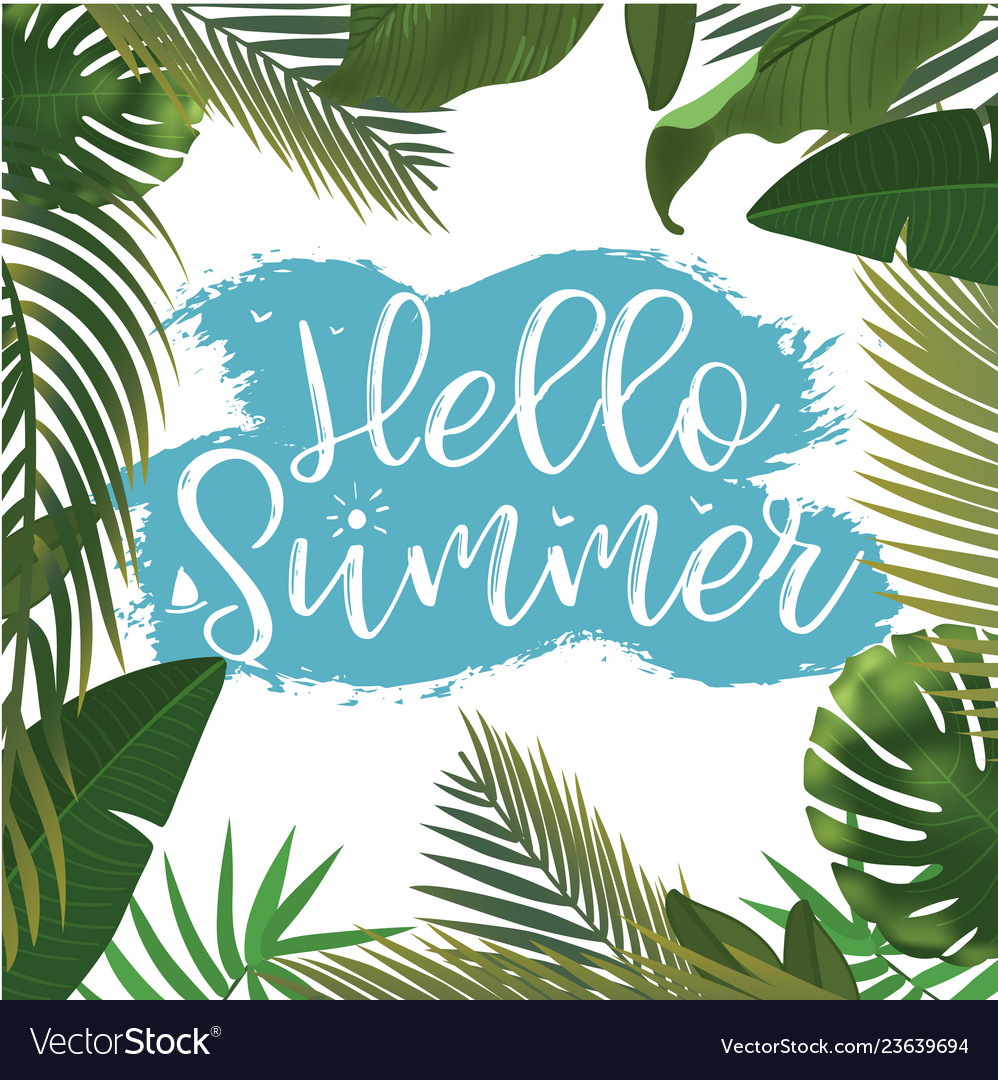 Hello summer time Royalty Free Vector Image - VectorStock