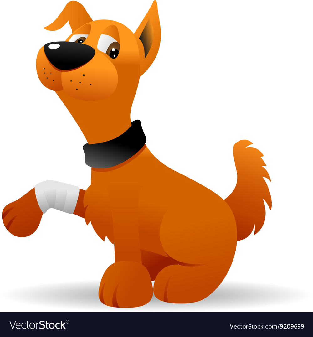 Injured Dog Royalty Free Vector Image VectorStock