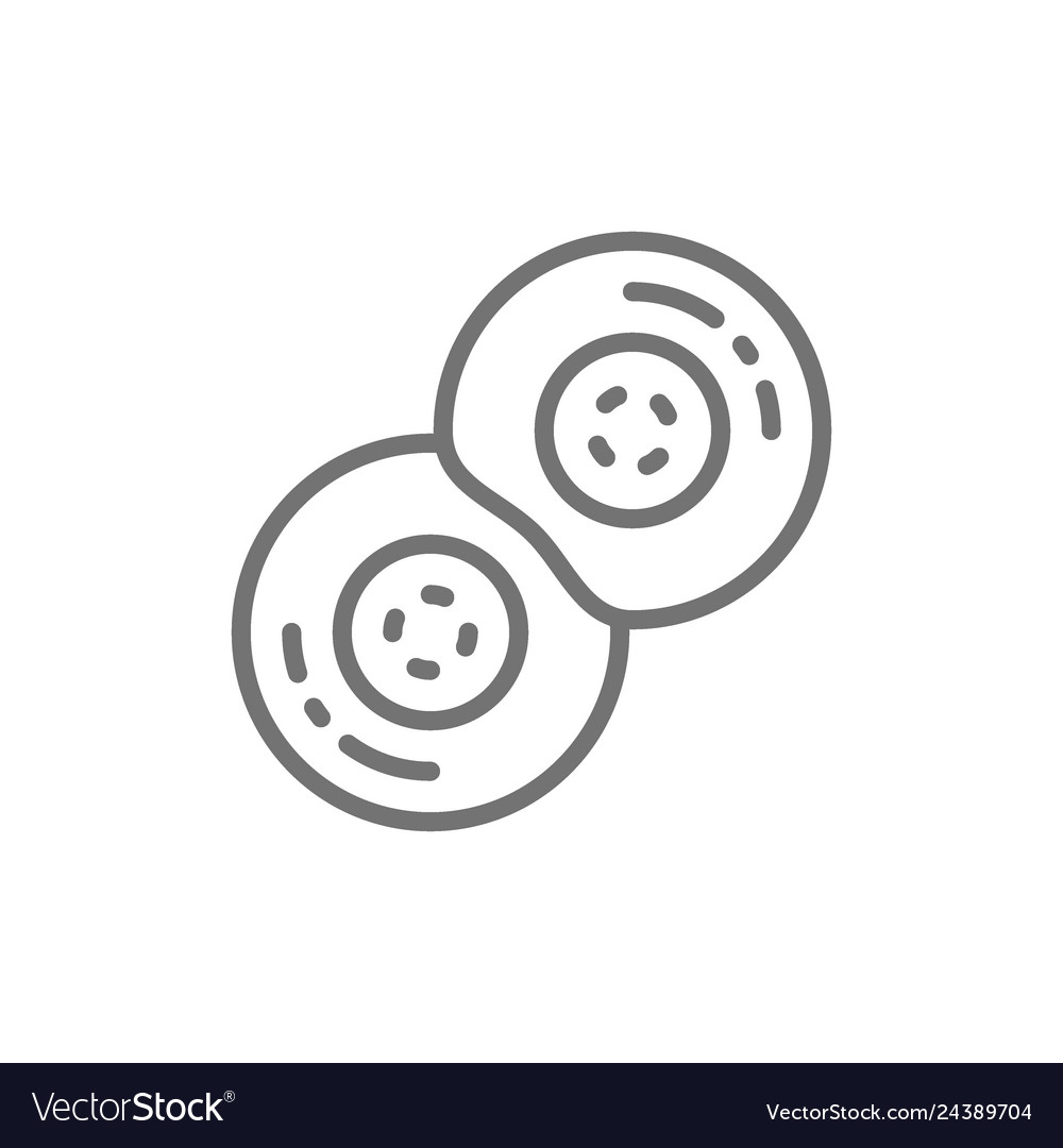 Division of human cells embryonic development