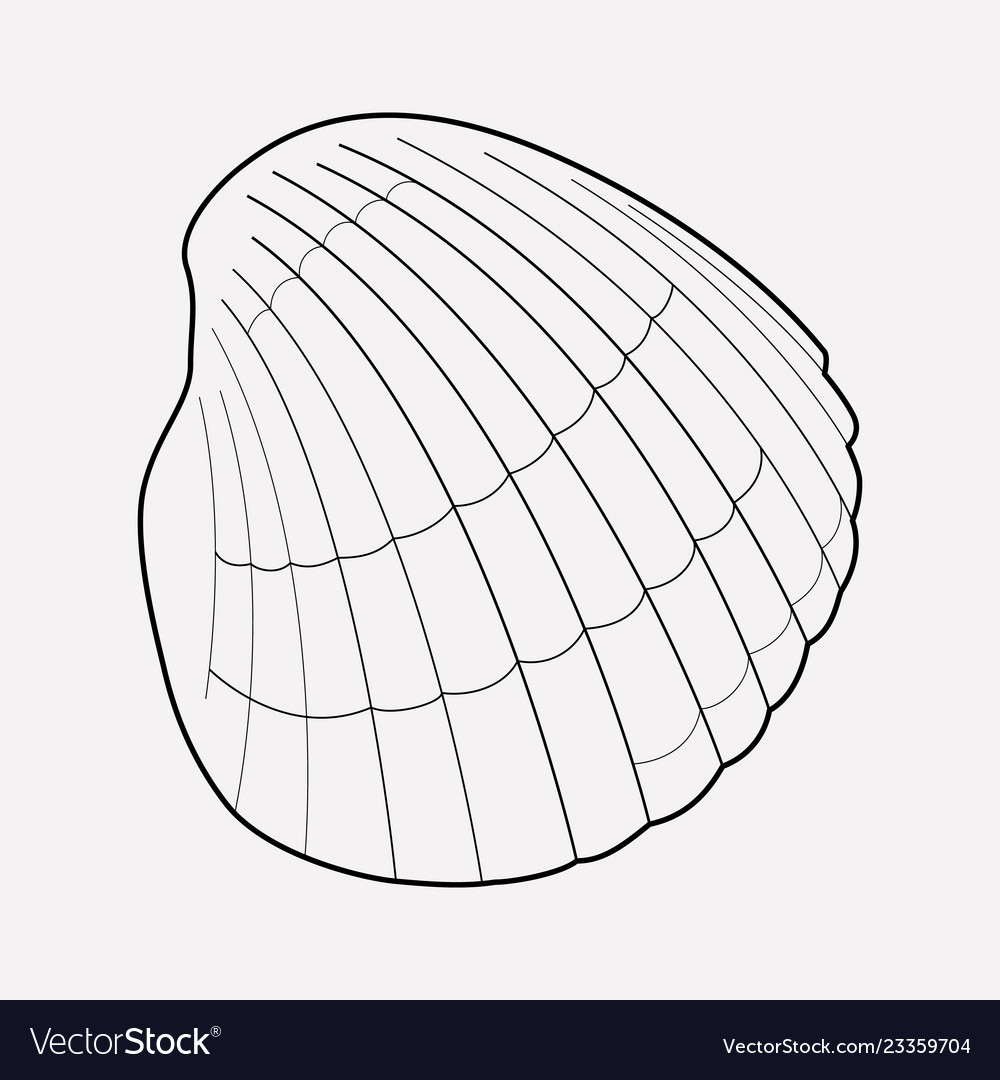 Seashell icon line element vector image Seashell icon line element