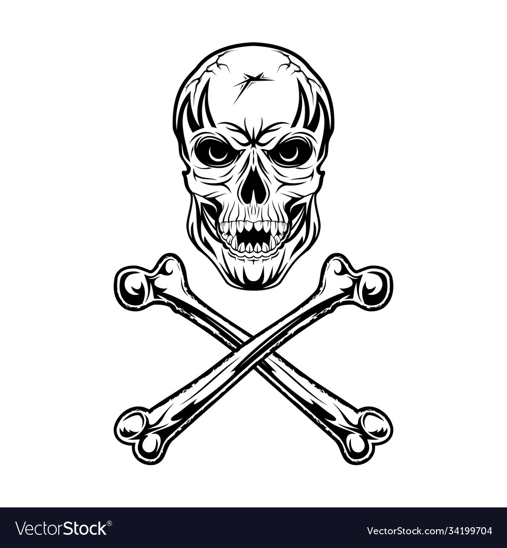 Skull 0001 Royalty Free Vector Image - VectorStock