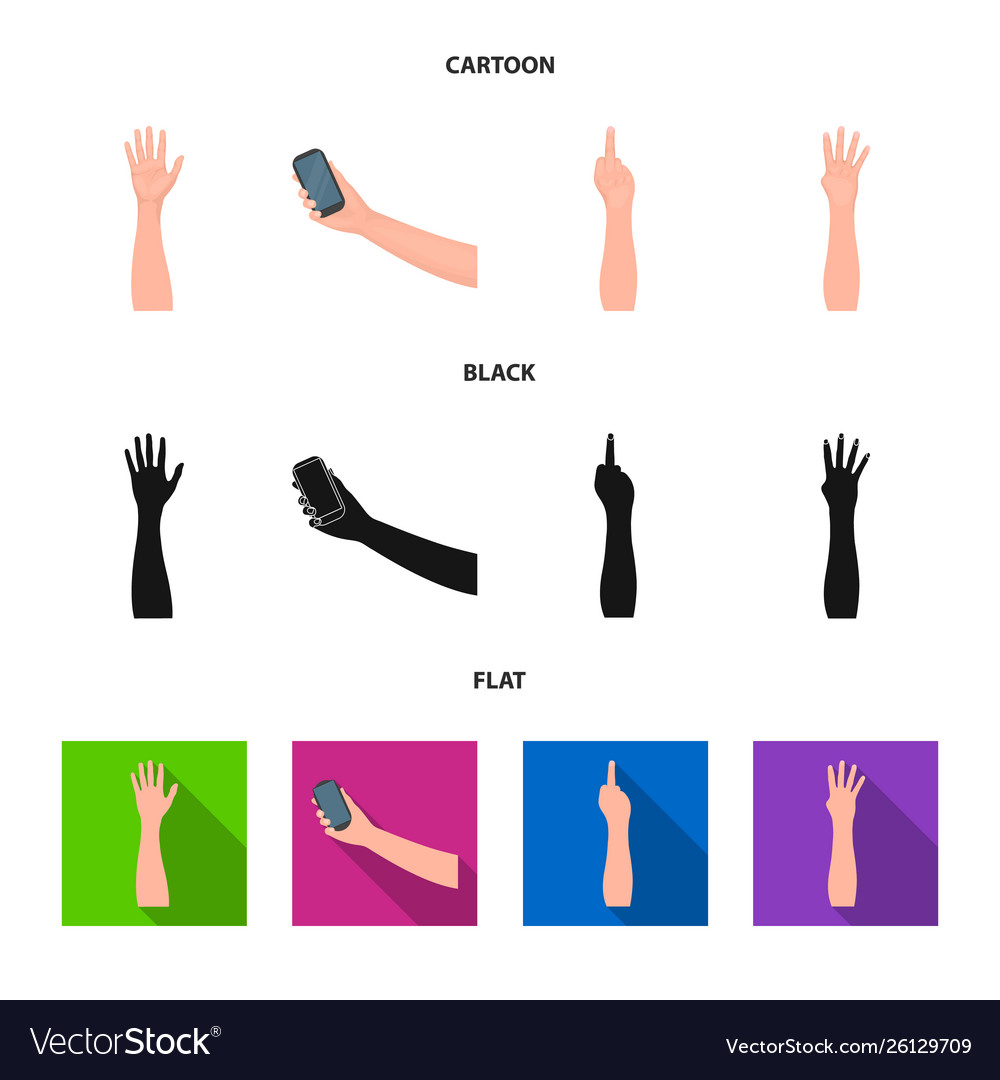 Design and animated sign collection