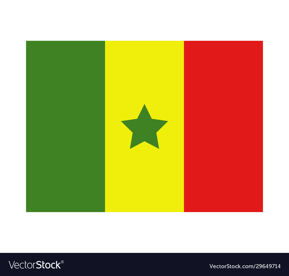 Senegal flag in on white background