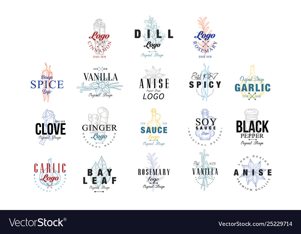 Spice logo design set vanilla anise clove