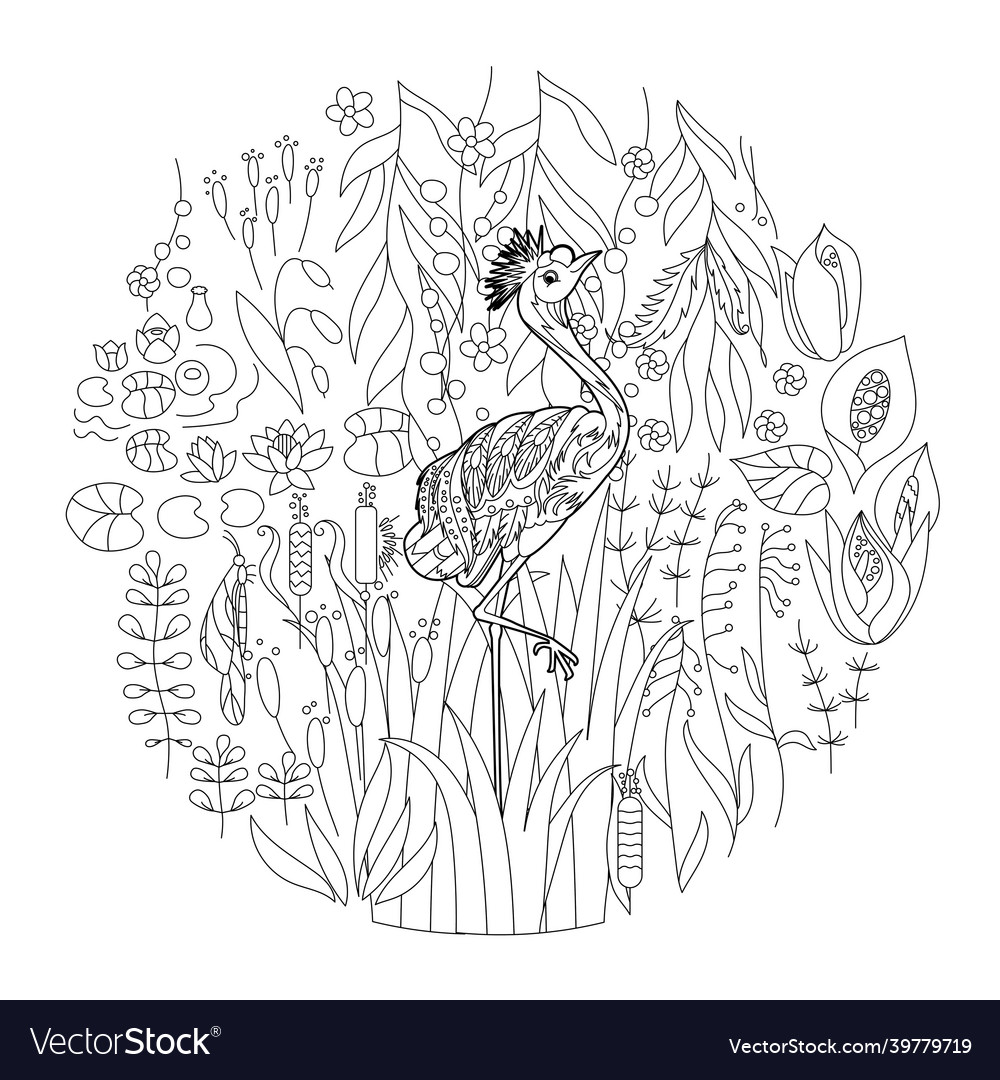 Contour linear for coloring book with bird vector image Contour linear for coloring book with bird