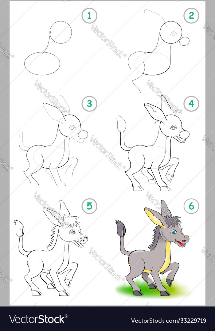 How to draw step a cute little donkey