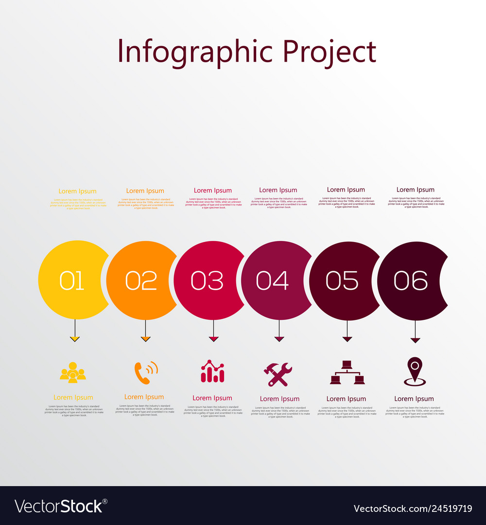 Infographic element with icons and options vector image Infographic element with icons and options