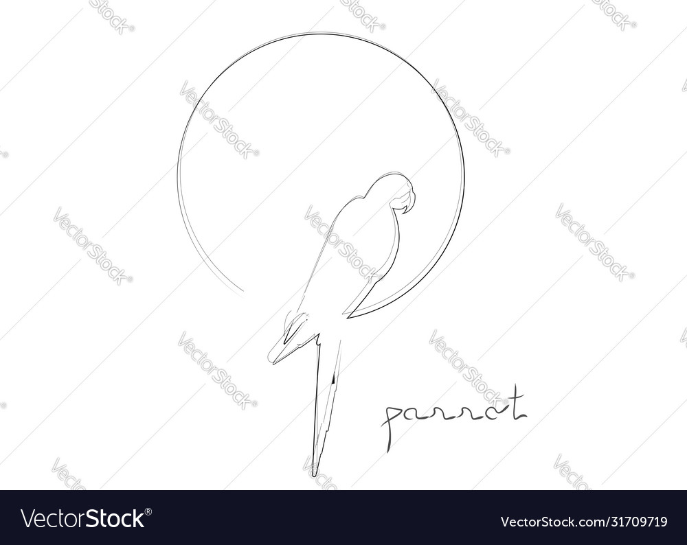 Parrot bird double line art continuous black