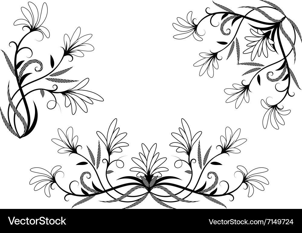 Floral elements for design Royalty Free Vector Image