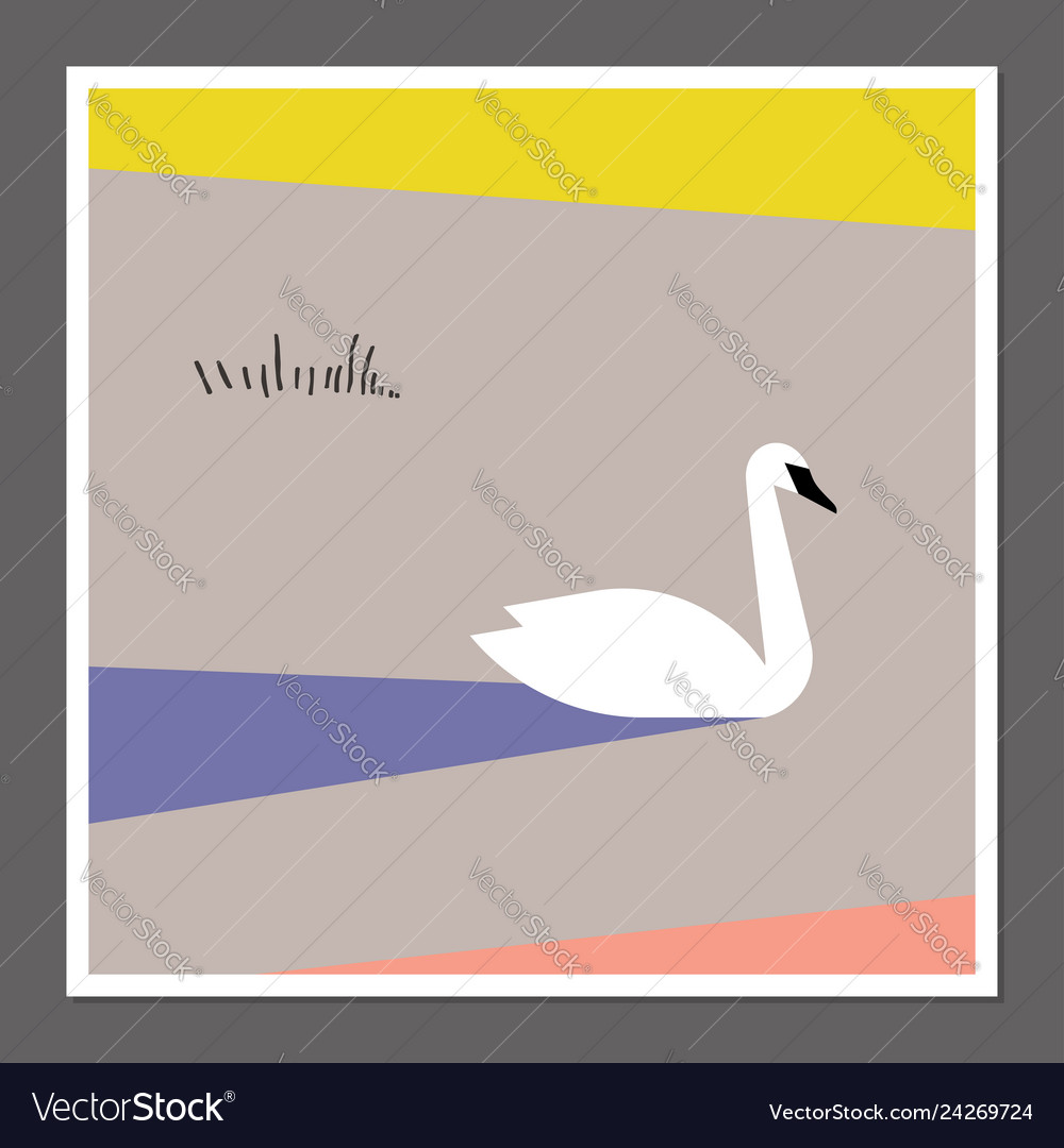 Pastel Swan on Color Block Background