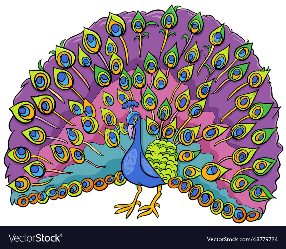 Peacock bird animal character cartoon Royalty Free Vector