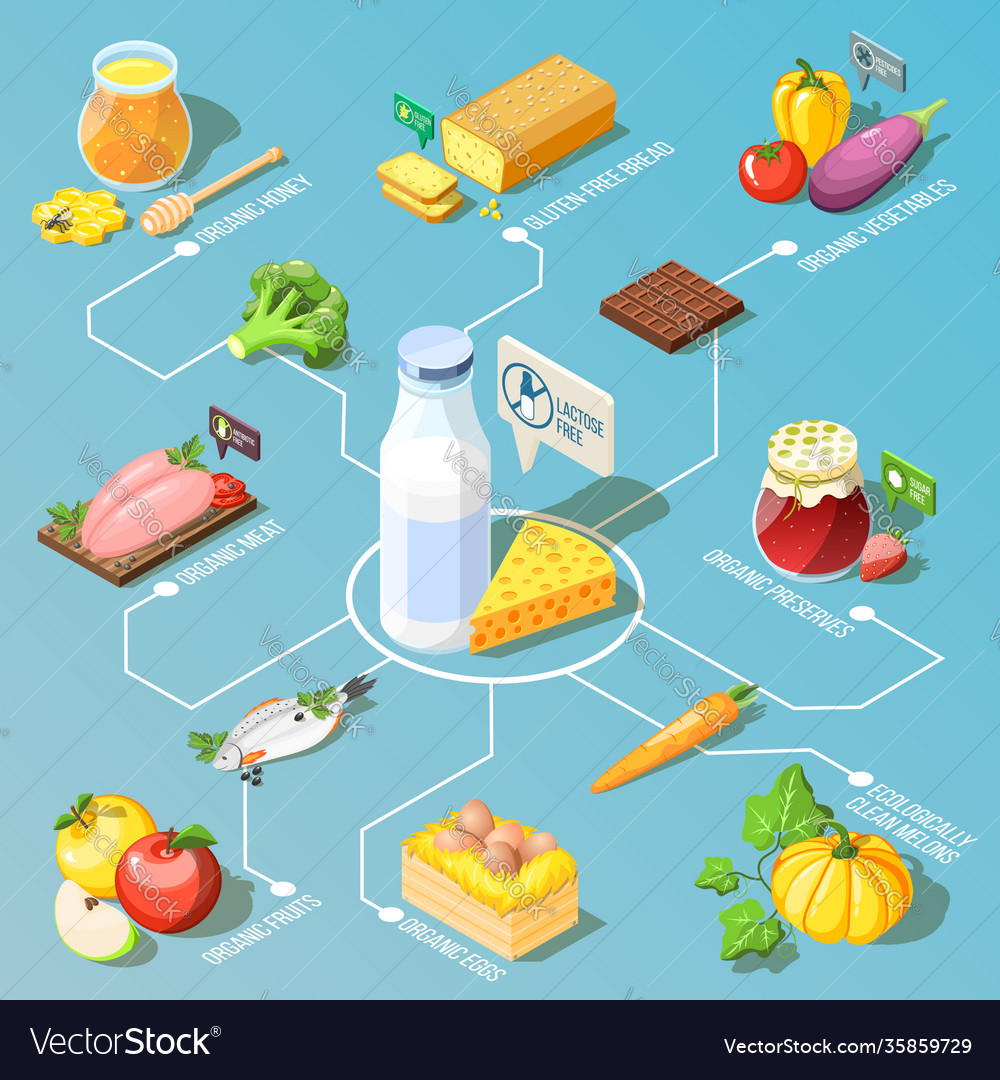 Organic food isometric flowchart