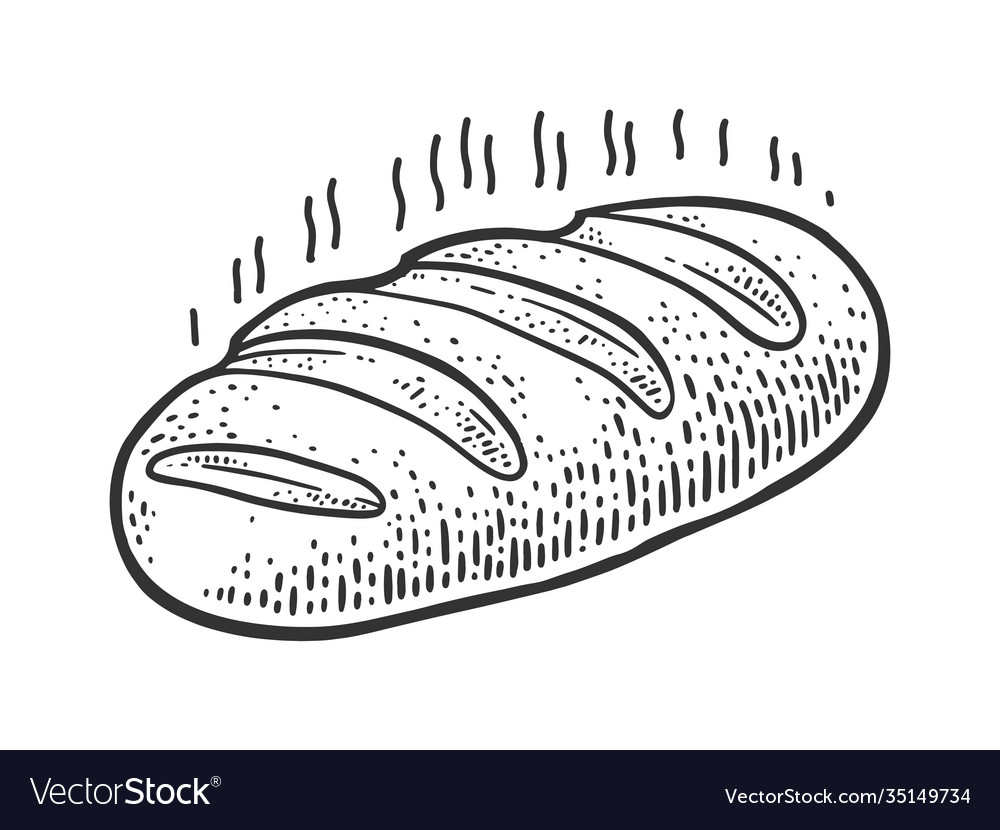 Fresh loaf bread sketch