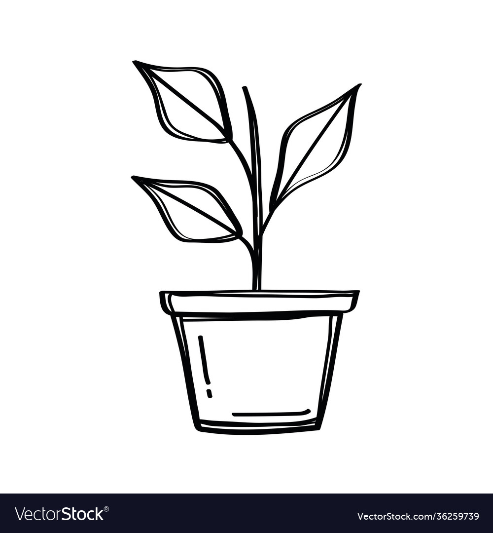 House plant in pot doodle style icon Royalty Free Vector