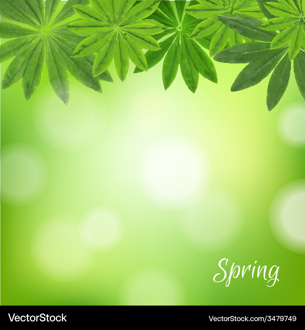 Spring poster Royalty Free Vector Image - VectorStock