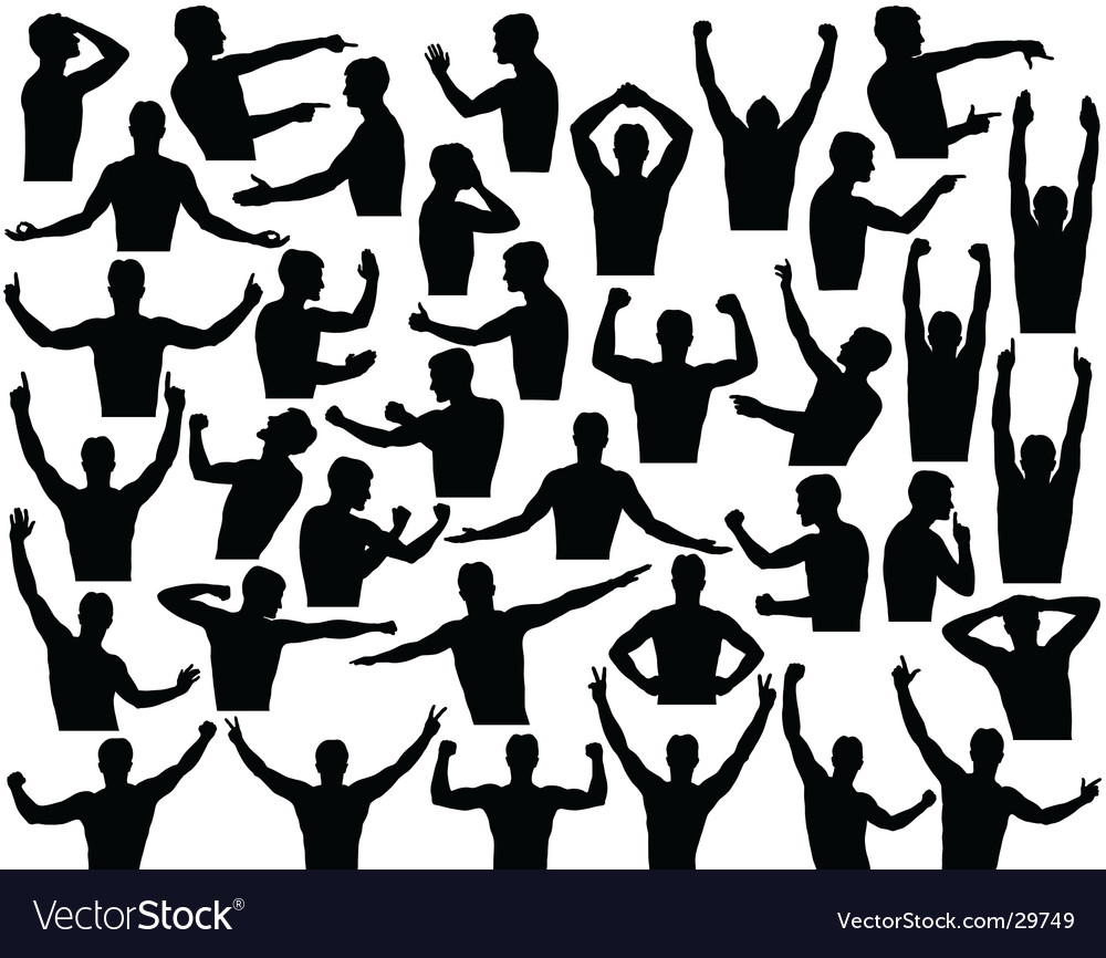 Torsos Royalty Free Vector Image - VectorStock