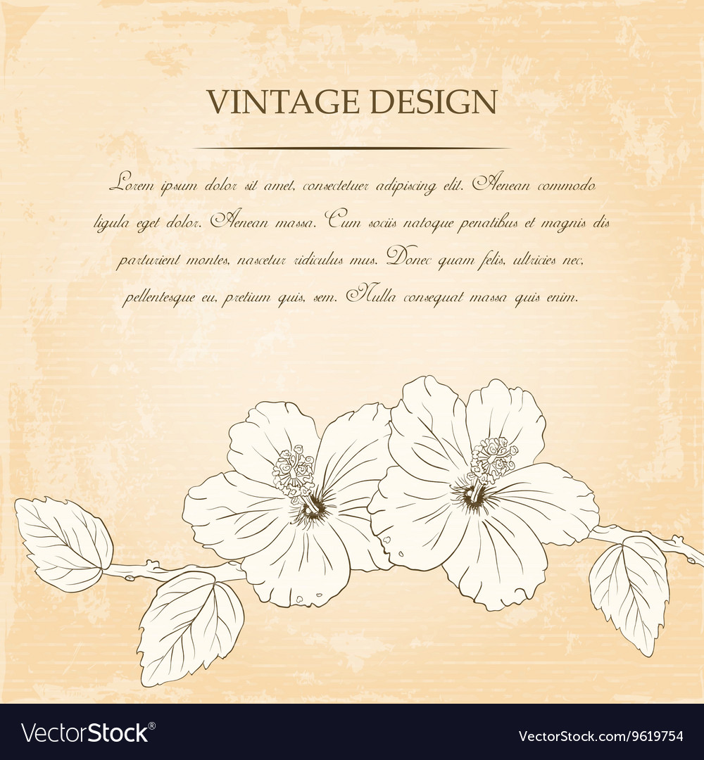 congratulations card design template with hibiscus