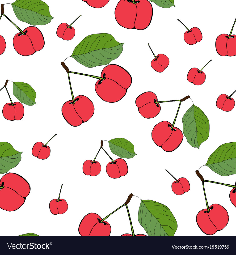 Cute cherry seamless pattern good for textile Vector Image