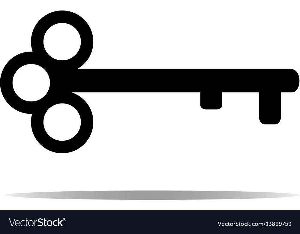 key-icon-key-symbol-isolated-on-white-background-vector-image