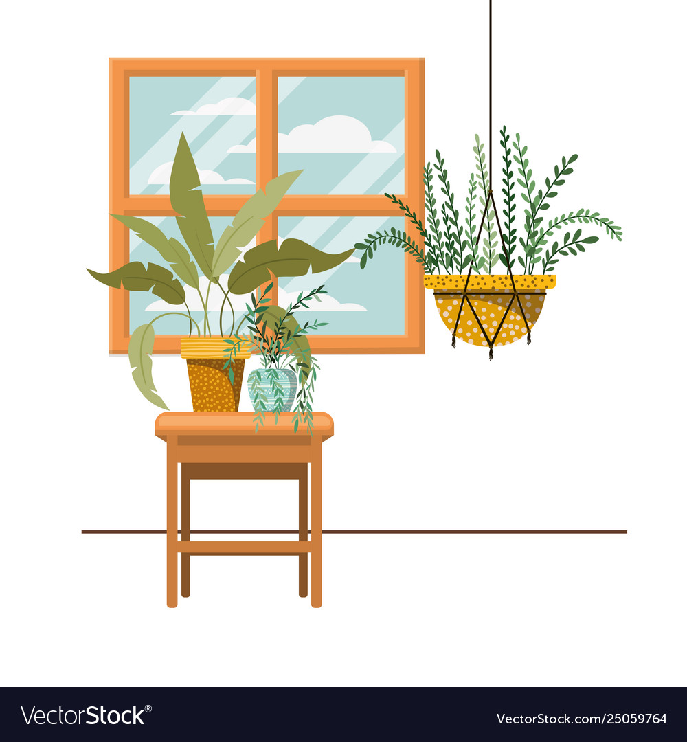 Houseplants on macrame hangers and table Vector Image