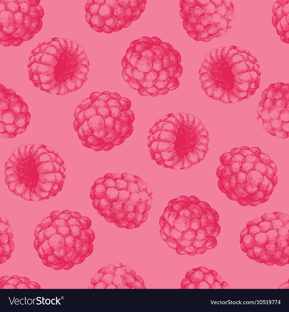 Hand-Drawn Raspberry Pattern