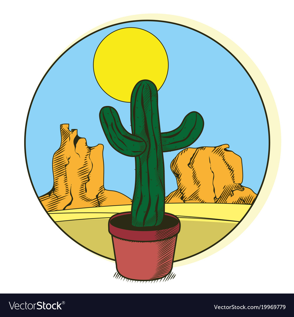 Cactus in pot on desert