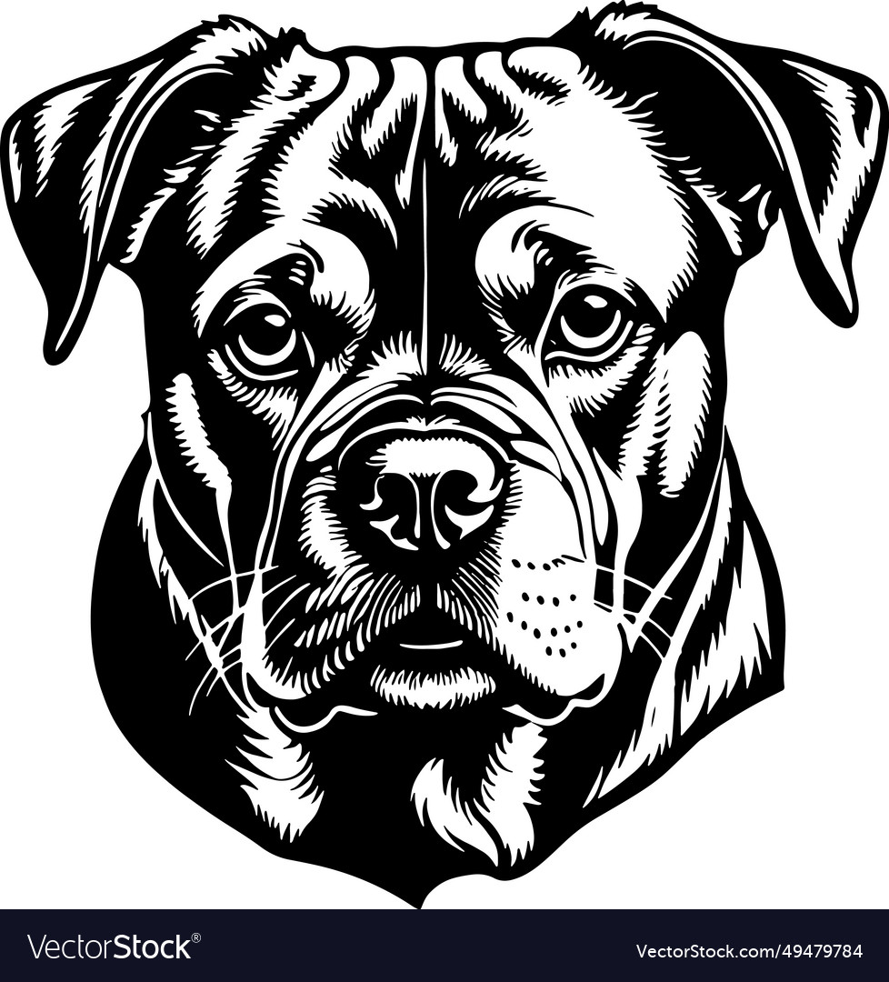 Bulldog portrait silhouette Royalty Free Vector Image