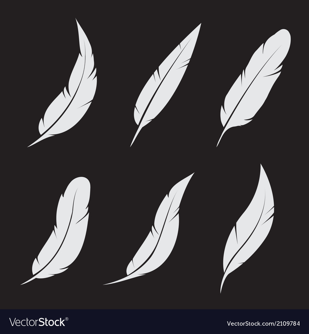 Feather