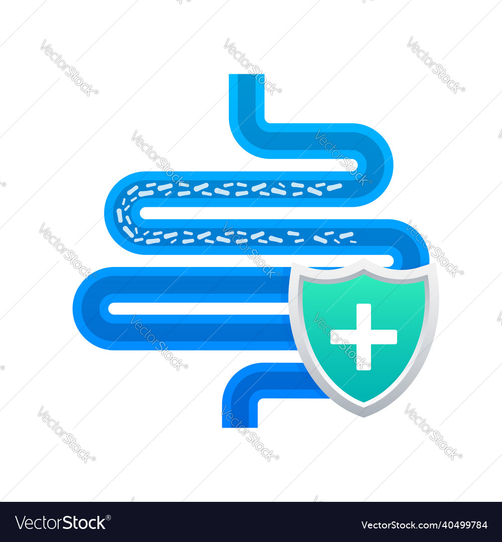 Stomach Protection Healthy Protected Intestine Vector Image Stomach Protection Healthy Protected Intestine Vector Image