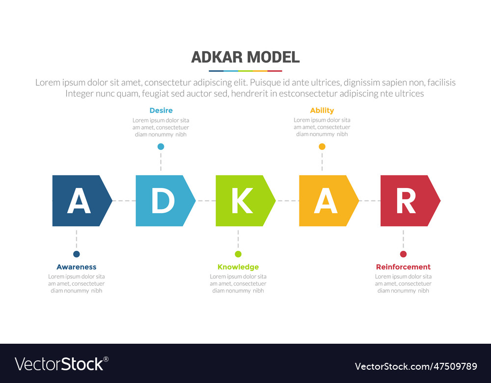 Adkar change management model stage infographics Vector Image