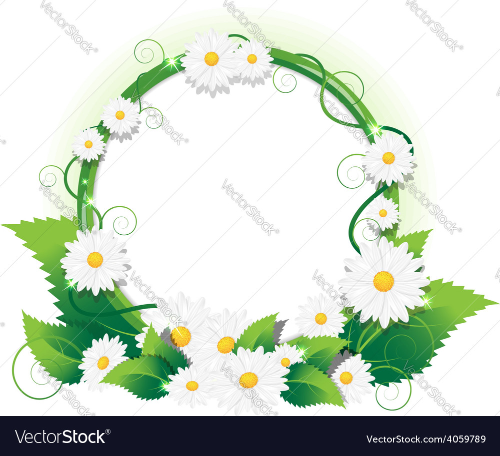 Chamomile frame