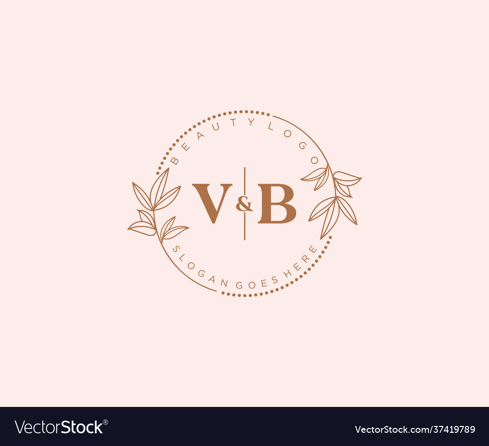Initial vb letters beautiful floral feminine