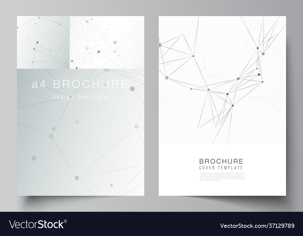 Layout a4 cover mockups templates Royalty Free Vector Image