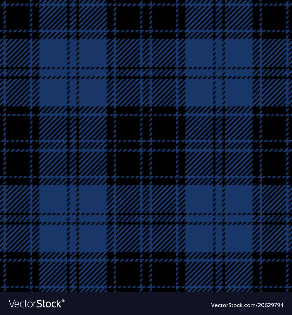 Blue and black tartan plaid seamless pattern Vector Image